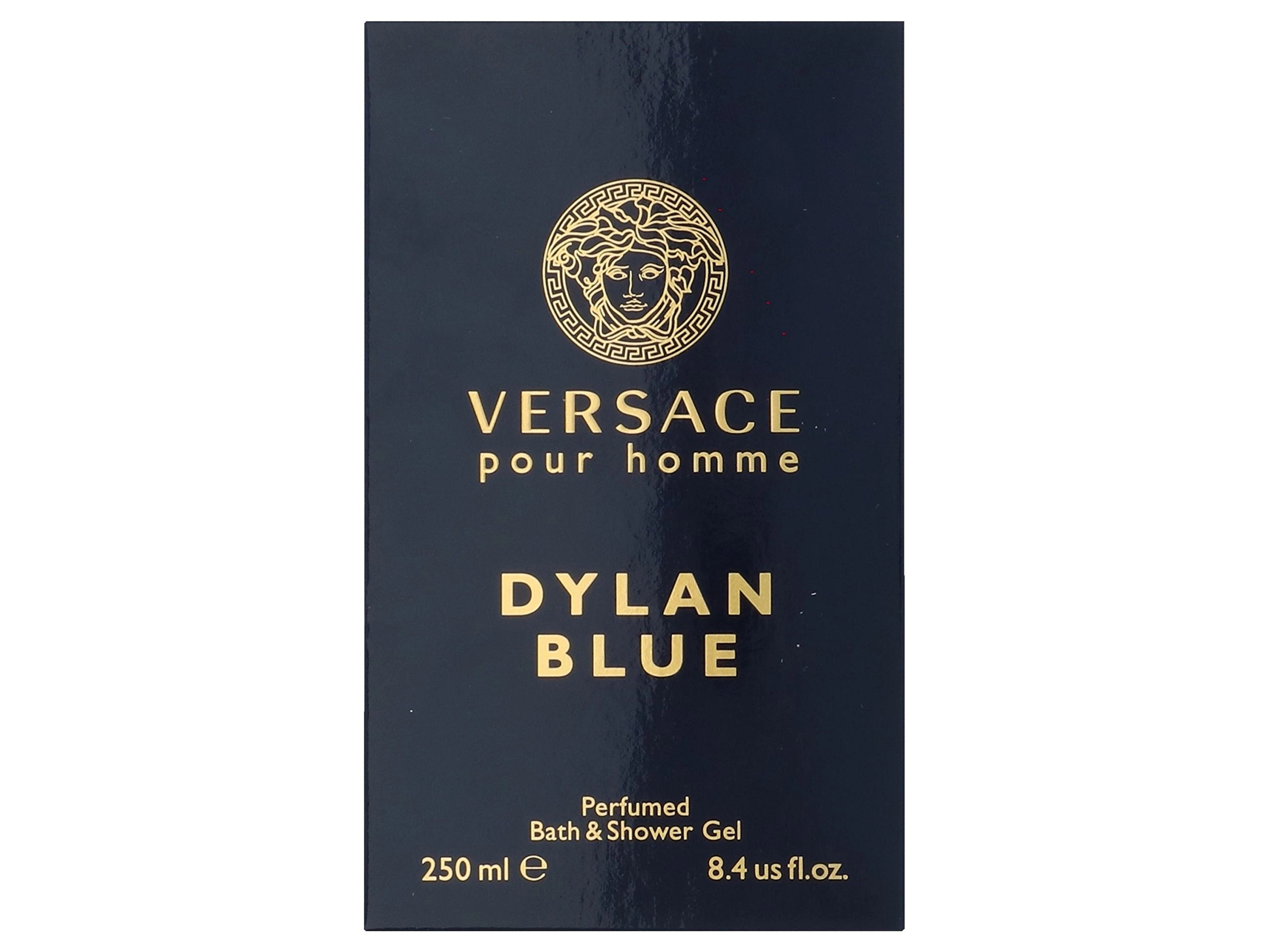 Versace Pour Homme Dylan Blue Shower
