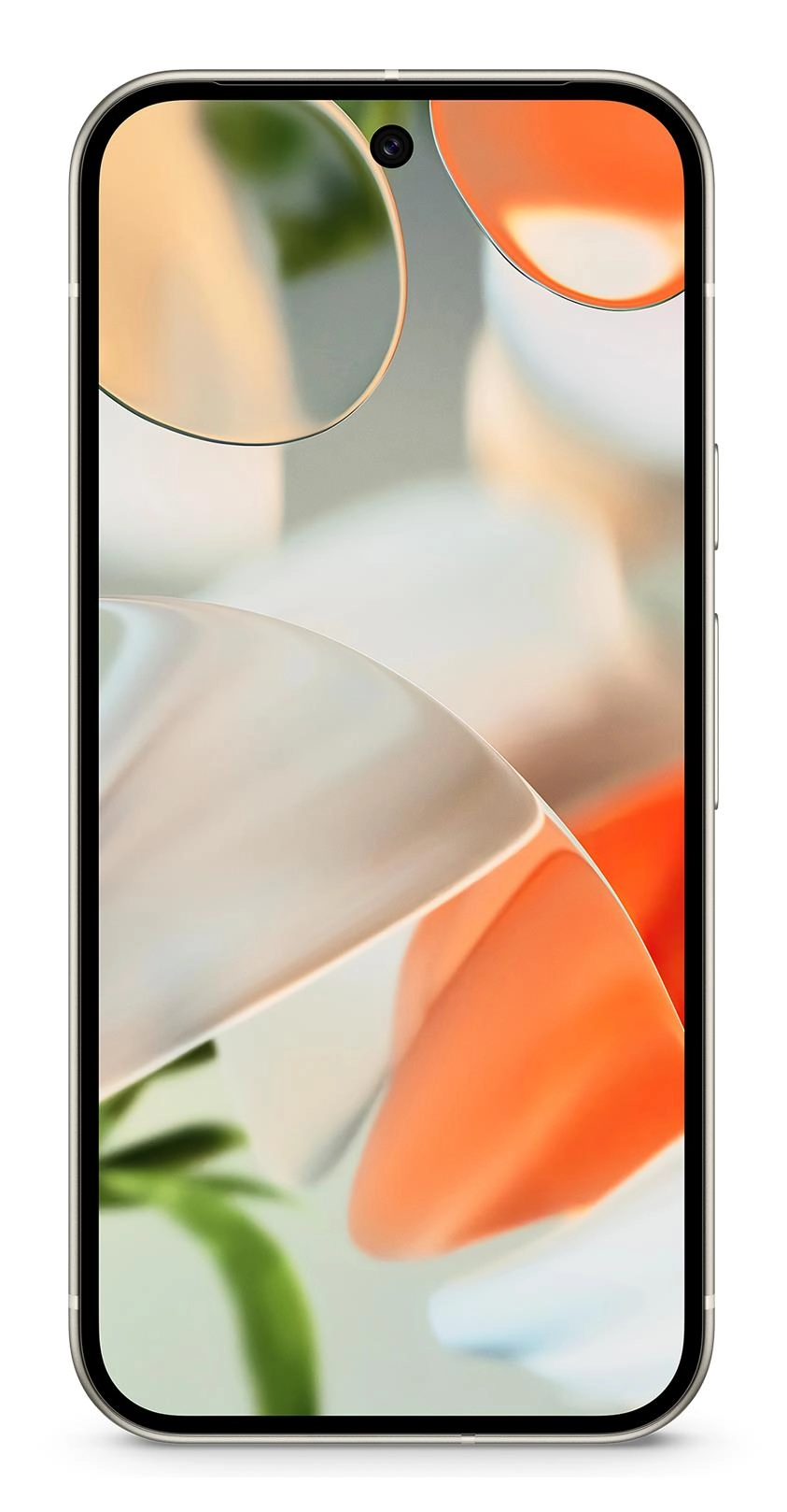 Google Pixel 9 128GB Pocelain DE