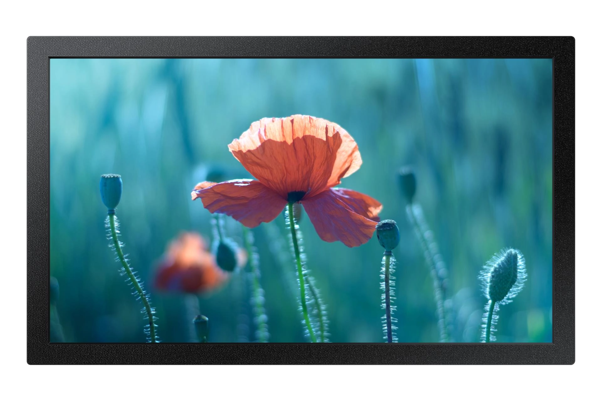 Samsung Digital Signage (LH13QBCEBGBXEN) LH13QBCEBGBXEN ULSAM013LQB23C0