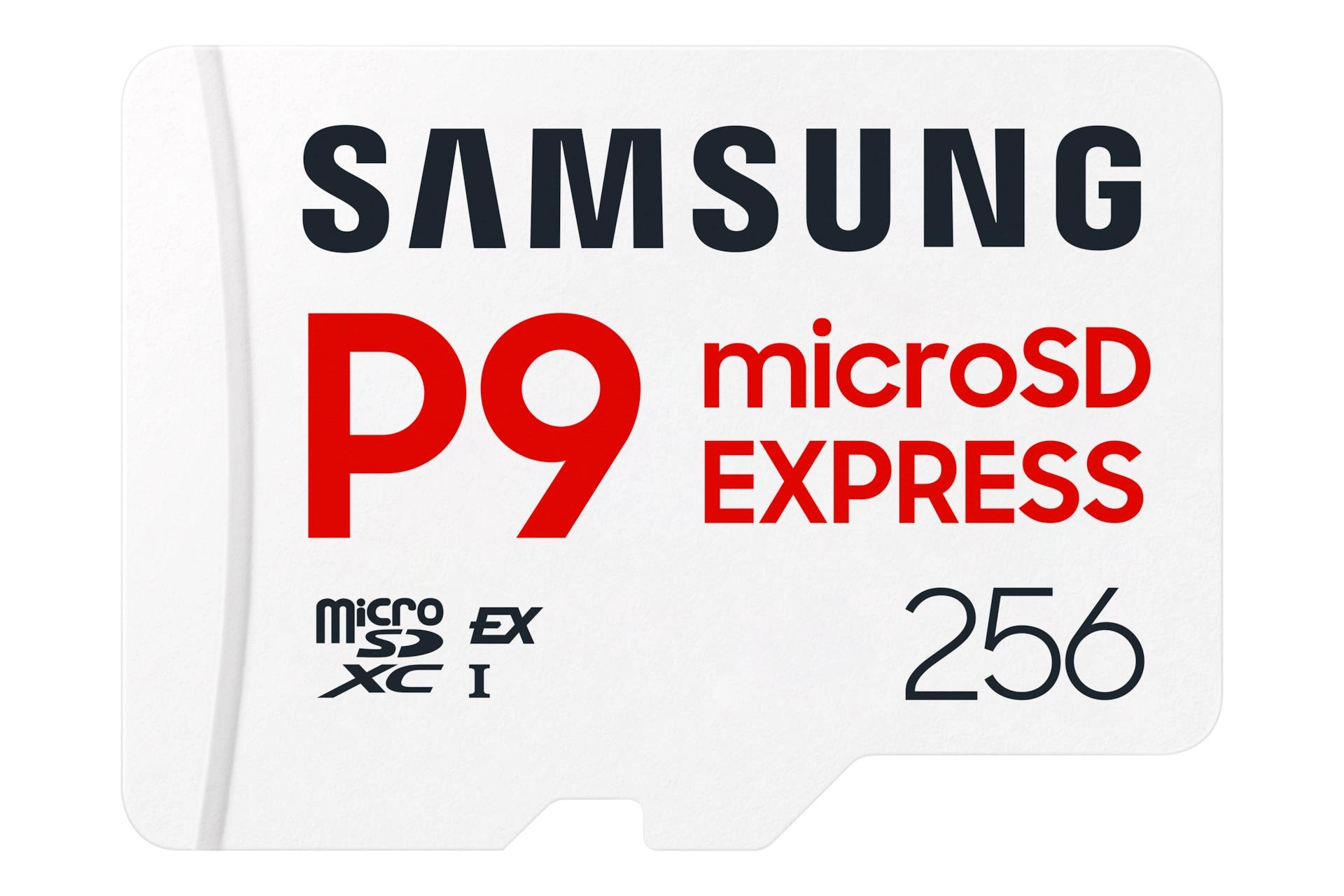 SAMSUNG P9 Express 256 GB microSDXC