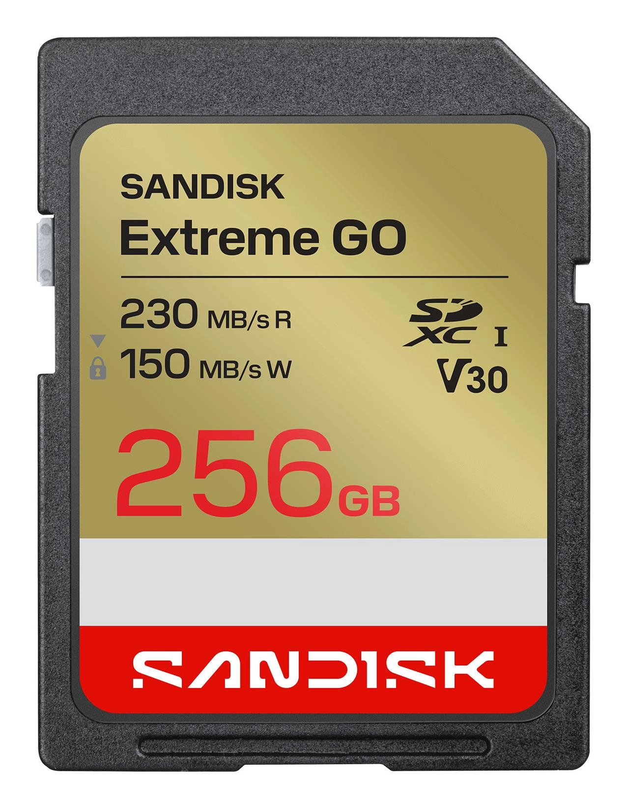 SanDisk 256 GB Extreme GO UHS-I