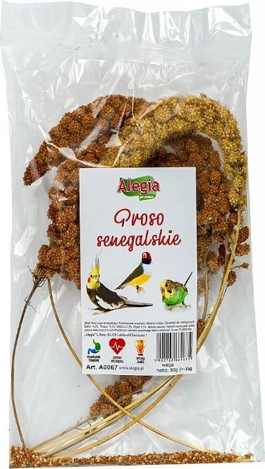 ALEGIA Senegalese Millet - treat for