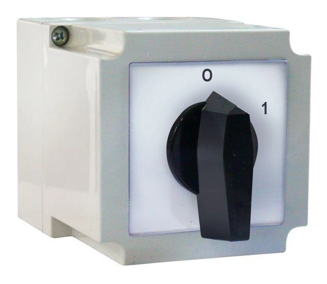 Apator Cam switch 4G10-10-PK with position