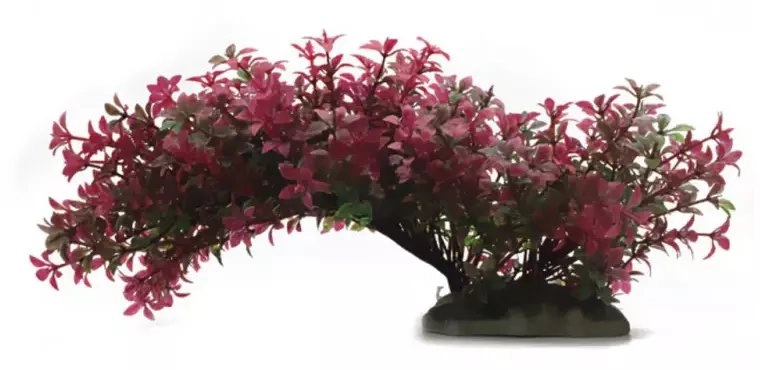 Aqua Natura plant for aquarium decoration