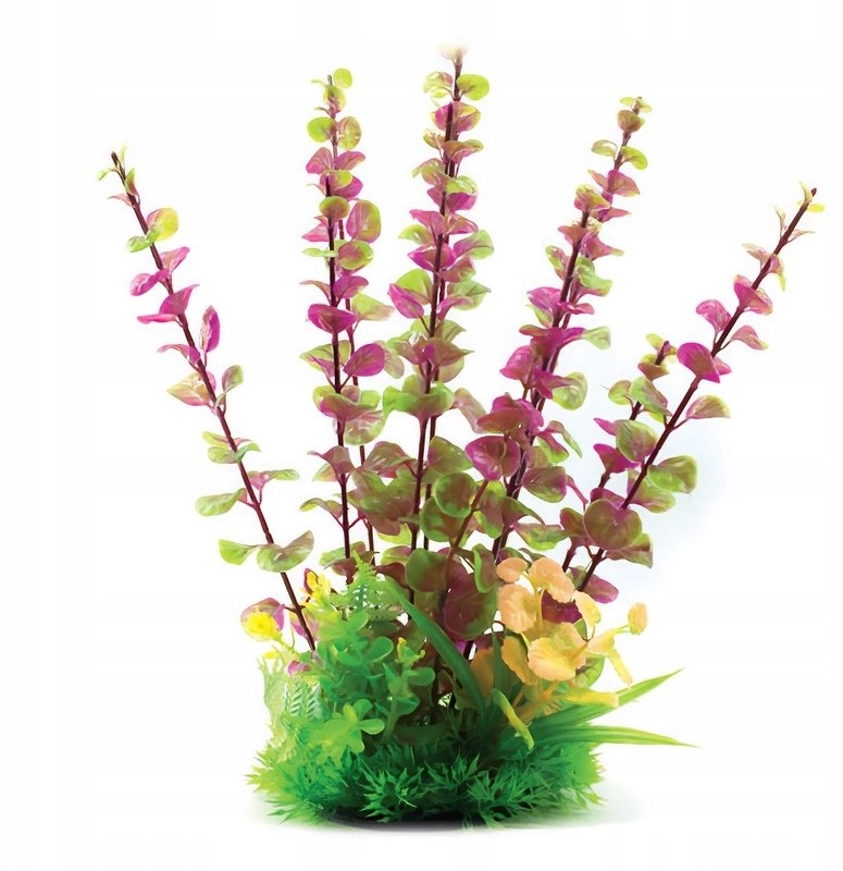 Aqua Natura  plant  for aquarium decoration