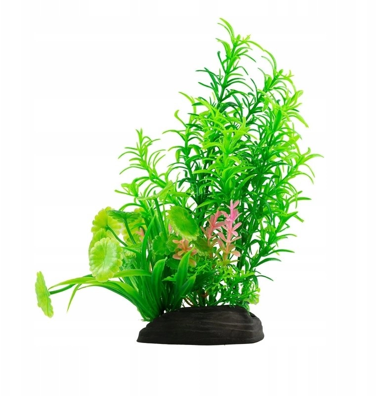 Aqua Natura  plant  for aquarium decoration