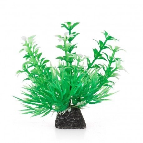 Aqua Natura  plant  for aquarium decoration