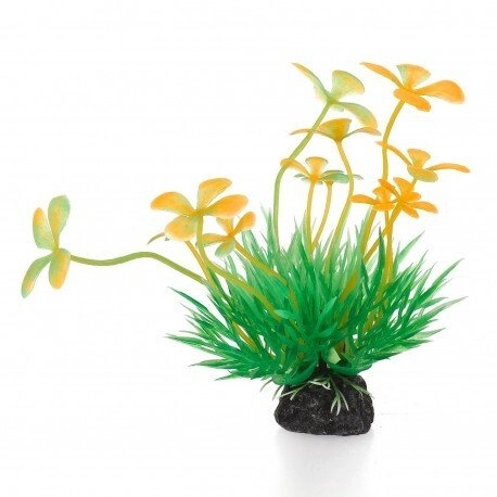 Aqua Natura plant for aquarium decoration