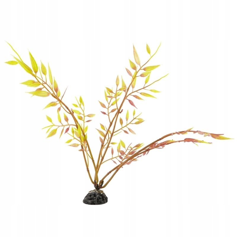 Aqua Natura  plant  for aquarium decoration