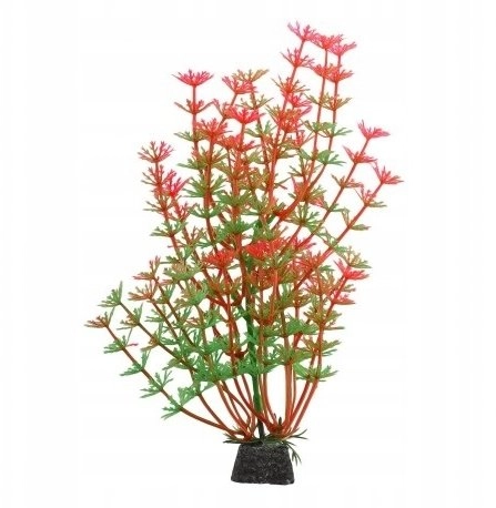 Aqua Natura plant for aquarium decoration