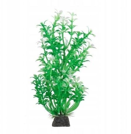 Aqua Natura  plant  for aquarium decoration