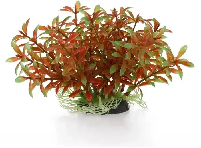 Aqua Natura plant for aquarium decoration