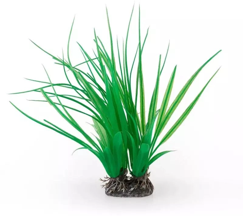 Aqua Natura  plant  for aquarium decoration