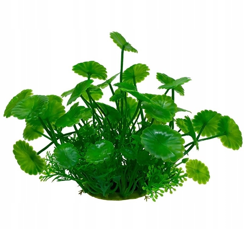Aqua Natura  plant  for aquarium decoration