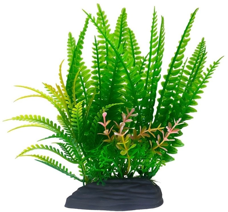 Aqua Natura  plant  for aquarium decoration