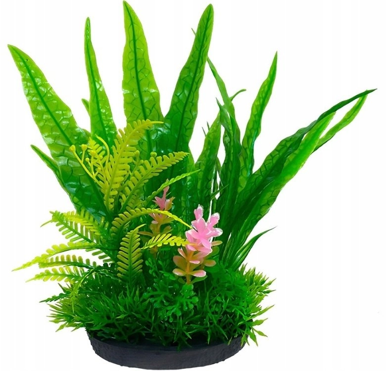 Aqua Natura  plant  for aquarium decoration