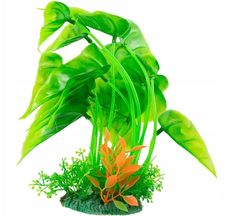 Aqua Natura  plant  for aquarium decoration