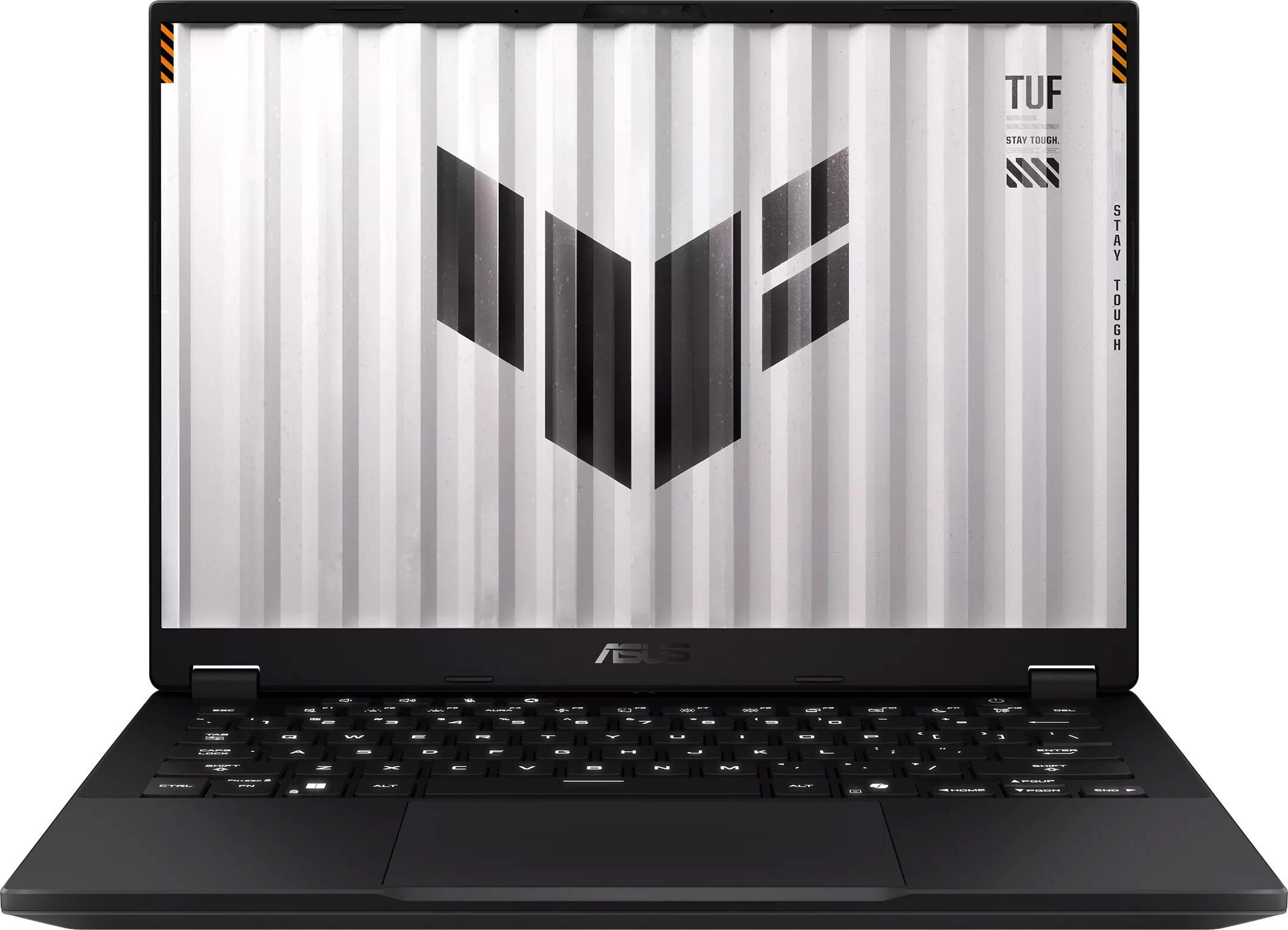 ASUS TUF Gaming FA401EA-RG005W - Ryzen