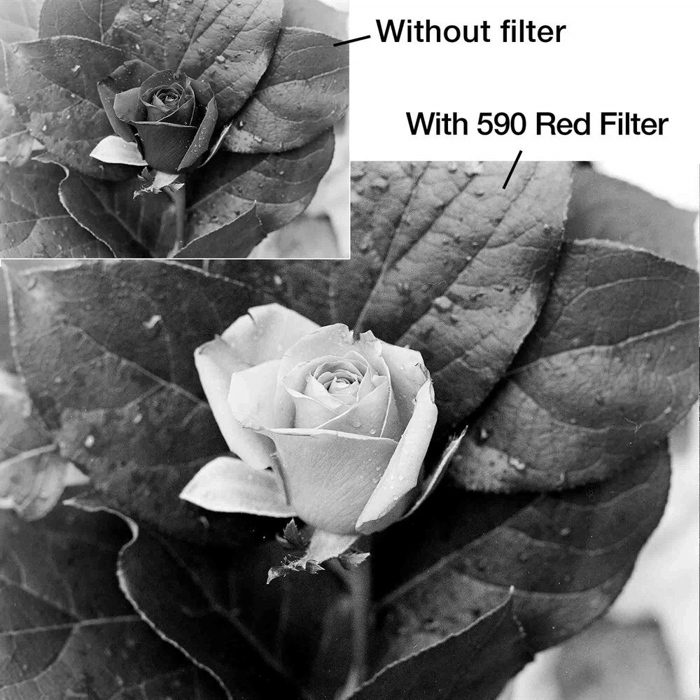 Filtr B+W Filtr czerwony B+W Basic
