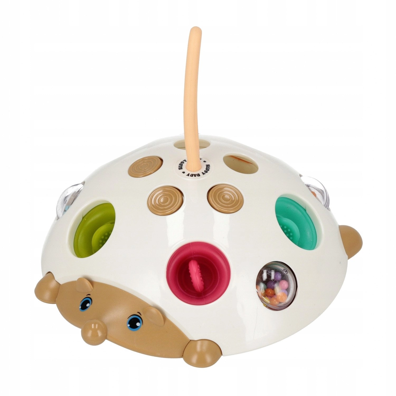 BAM BAM ZAB SENSORY LANGUAGE 21X18X6