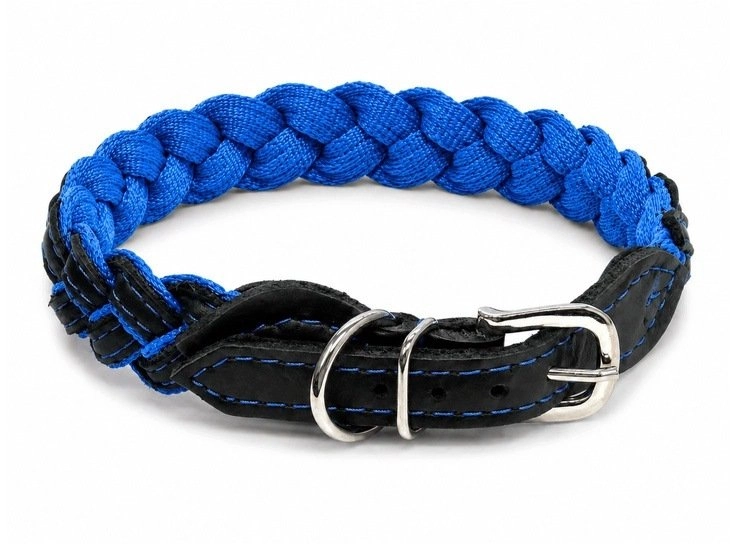 BarryKing Blue Storm Collar - blue