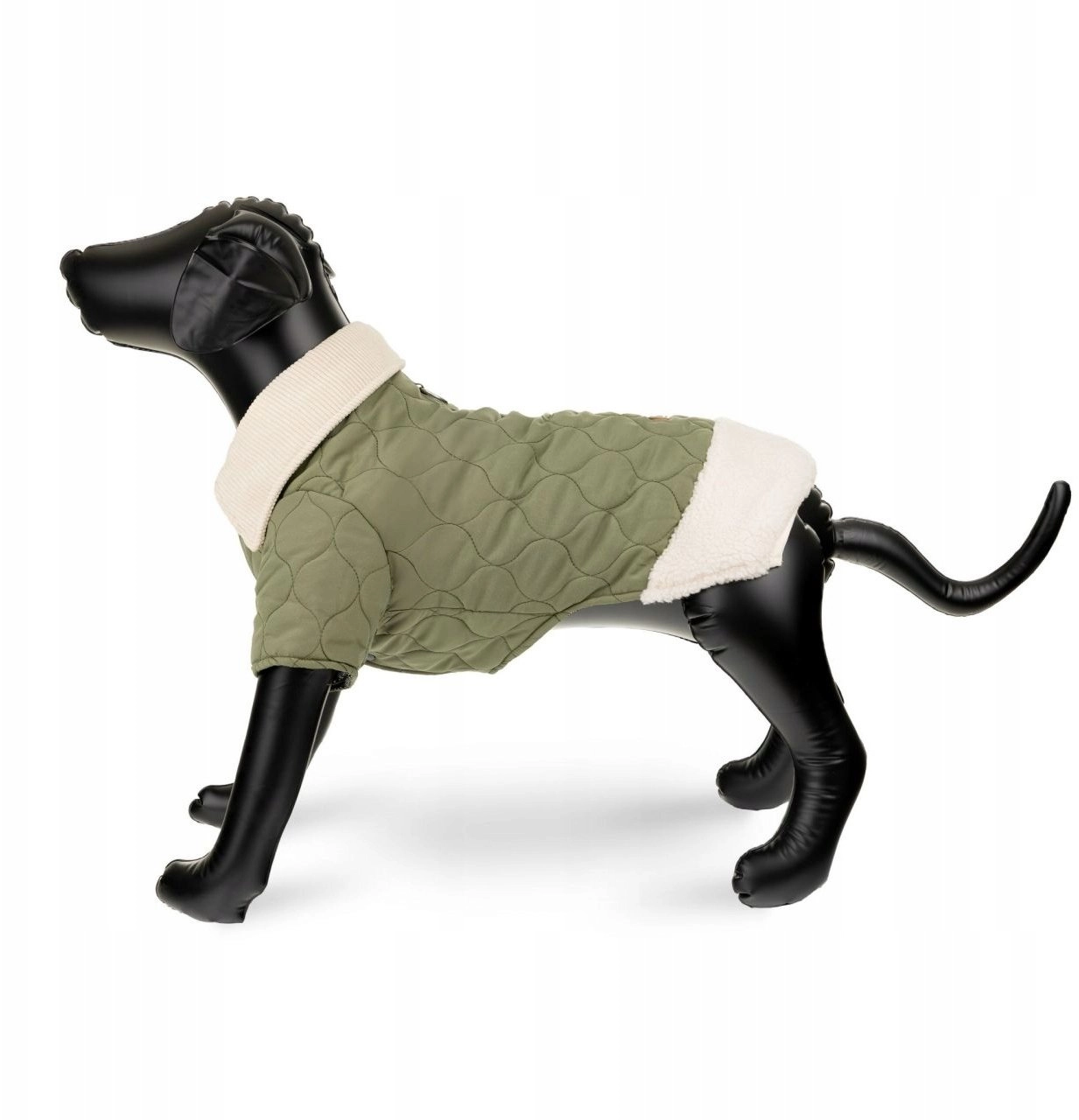 Jacket  for a dog  green  with