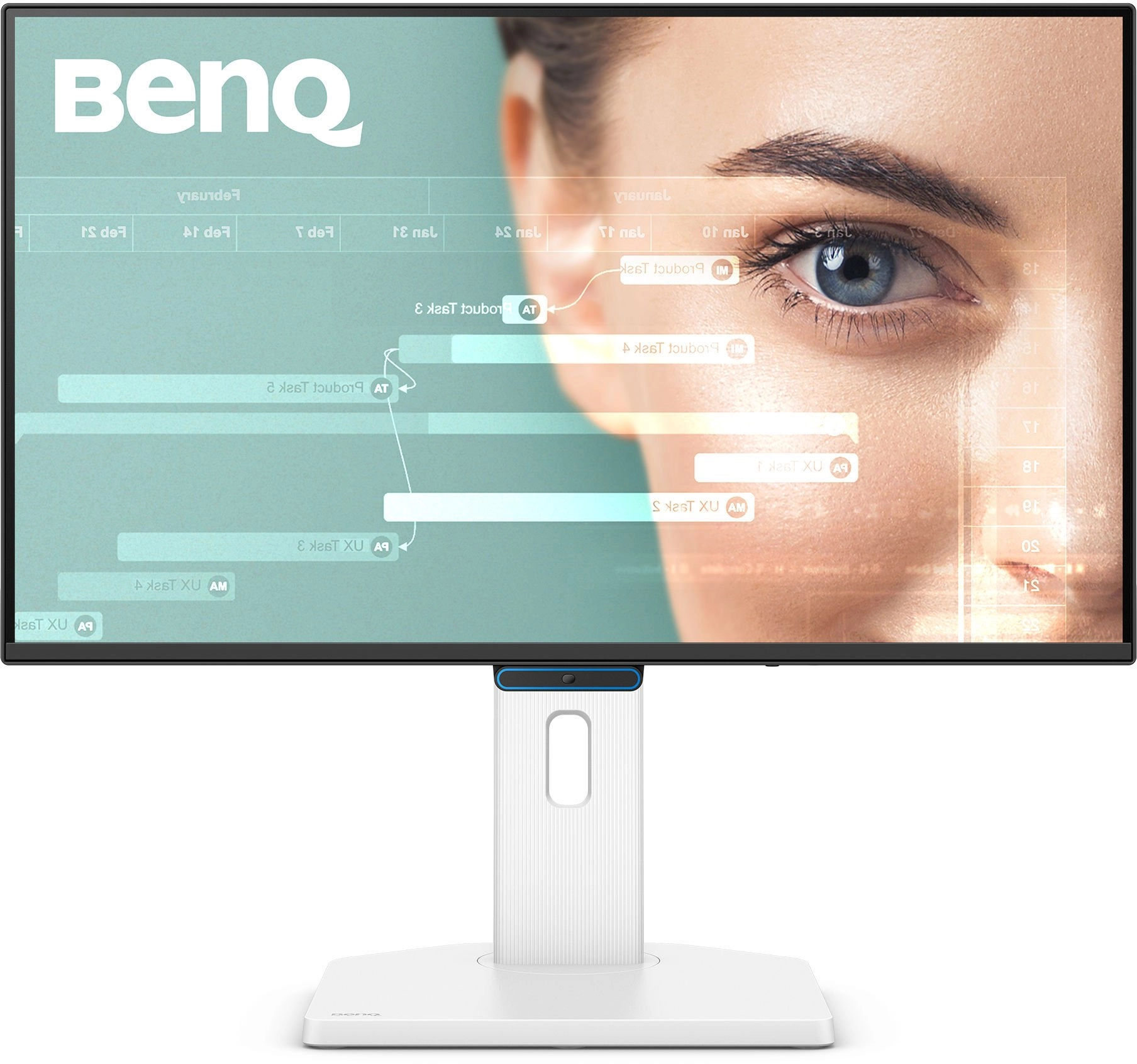Monitorius BENQ GW2490TC 24inch IPS 1920x1080
