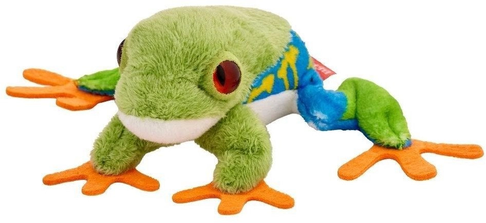Blue and yellow tree frog 10