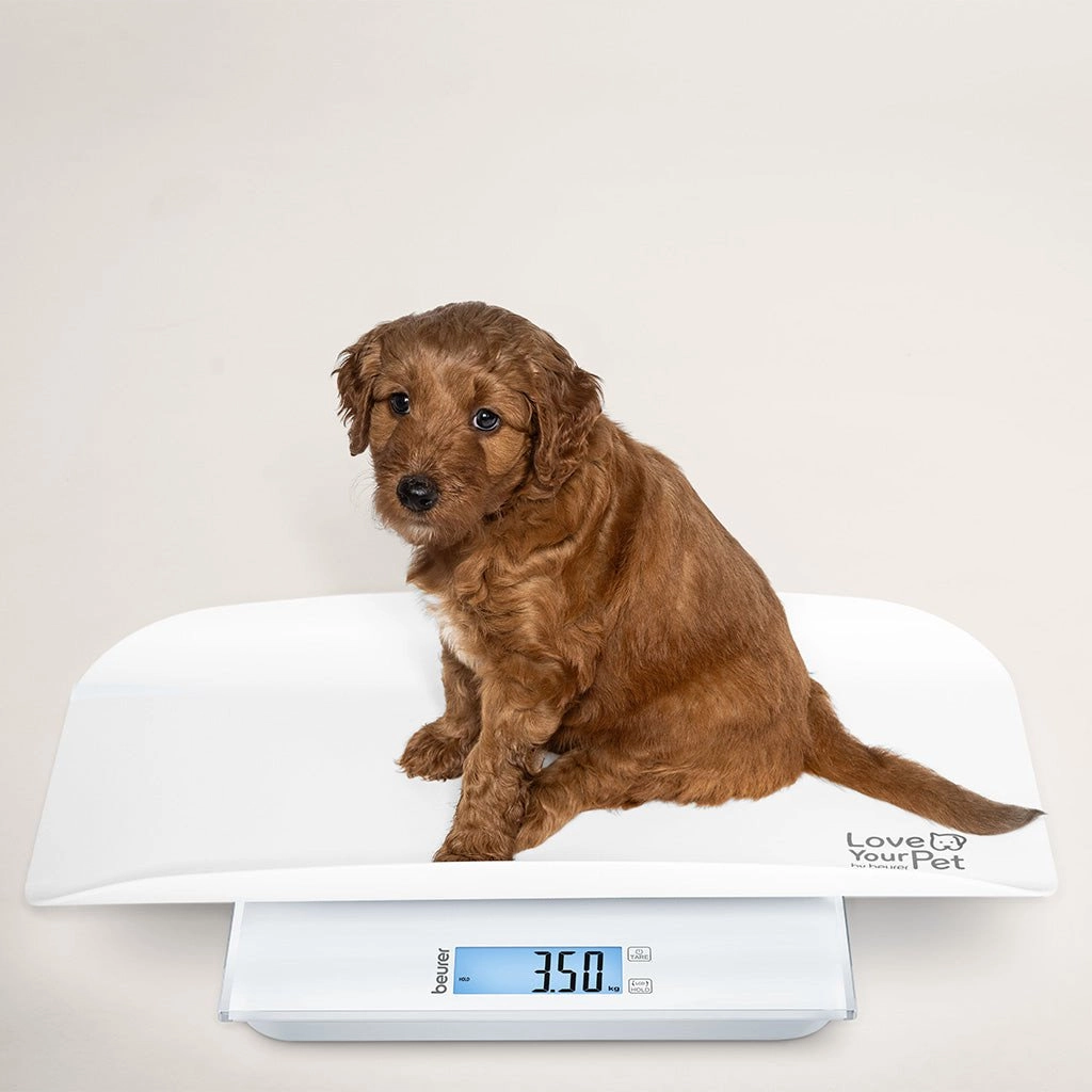 Beurer Polly white - Multifunctional pet