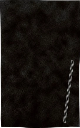Bomann Bomann KFM 565 carbon filter