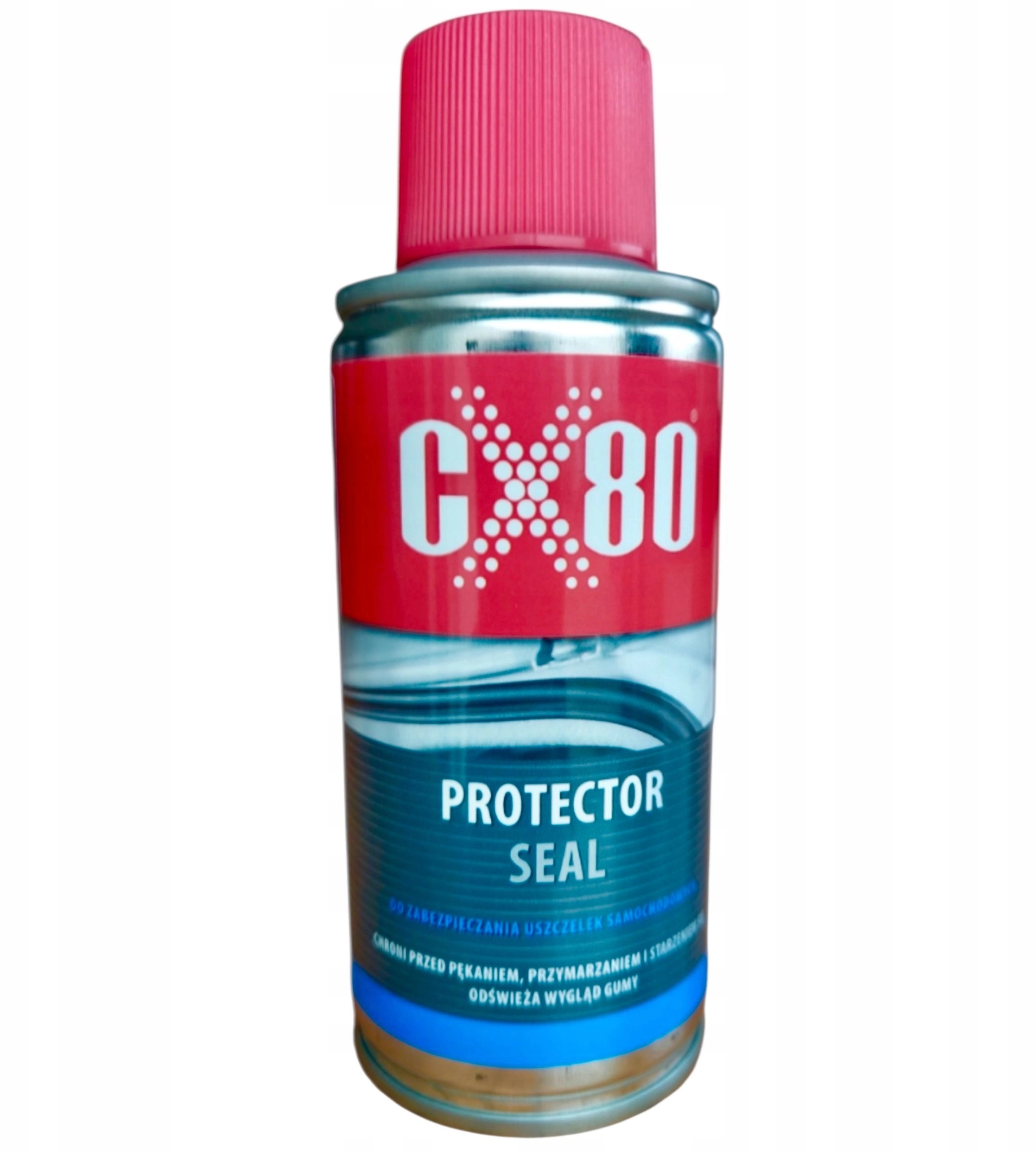 PROTECTOR SEAL PREPARATION FOR MAINTENANCE OF