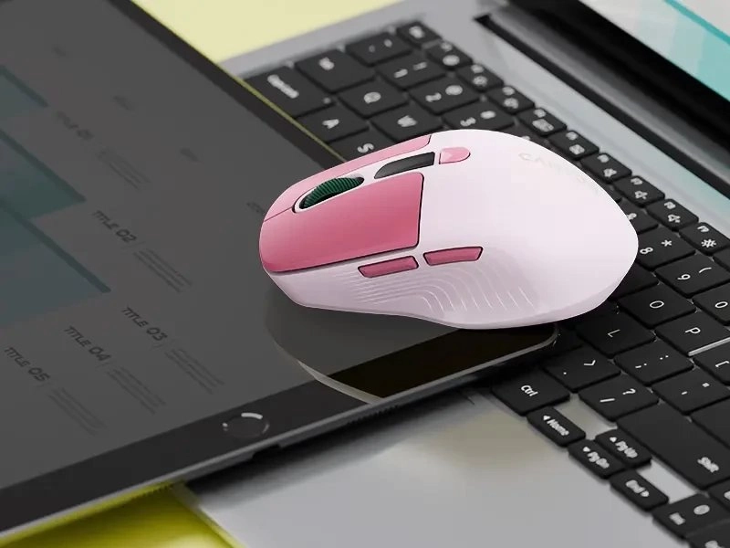 CANYON mouse MW-26 LCD silent dual