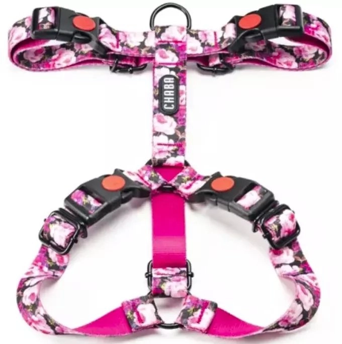 Chaba Chaba Comfort Story Dog Harness