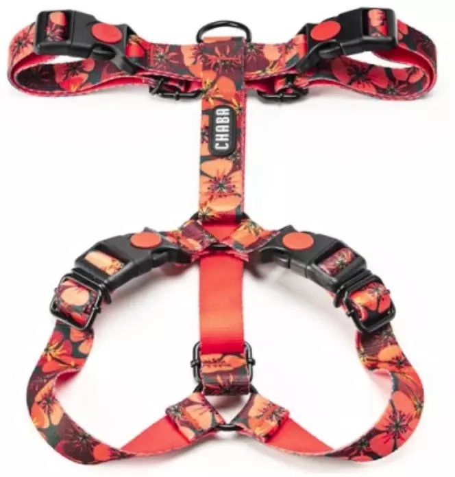 Chaba Chaba Comfort Story Dog Harness