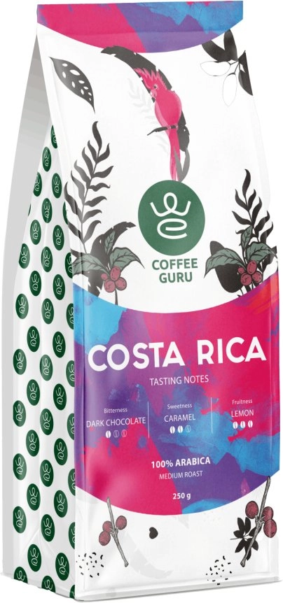 CoffeeGuru Costa Rica coffee beans 250