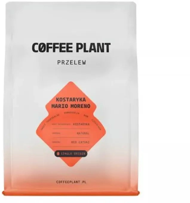 Coffee beans Coffee Plant coffee beans