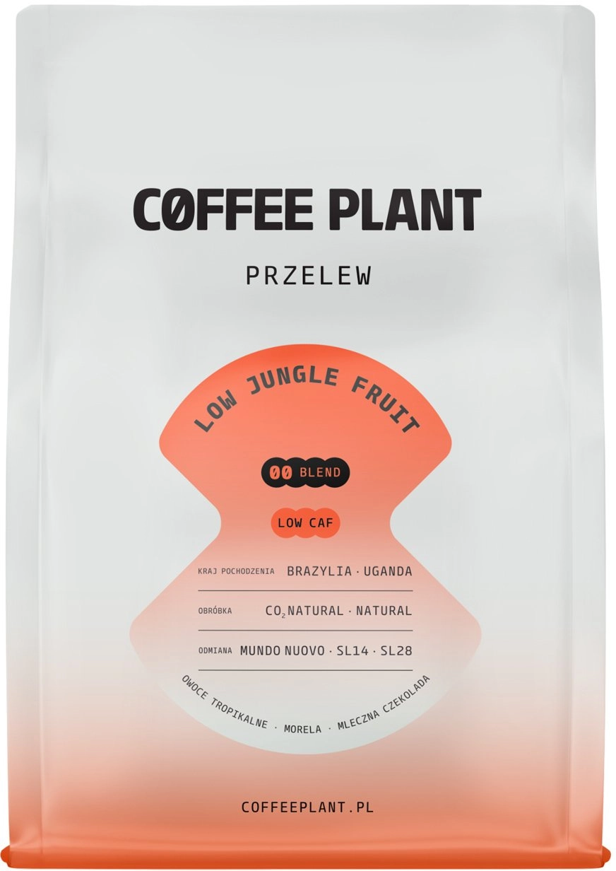 Coffee Plant coffee beans COFFEE PLANT