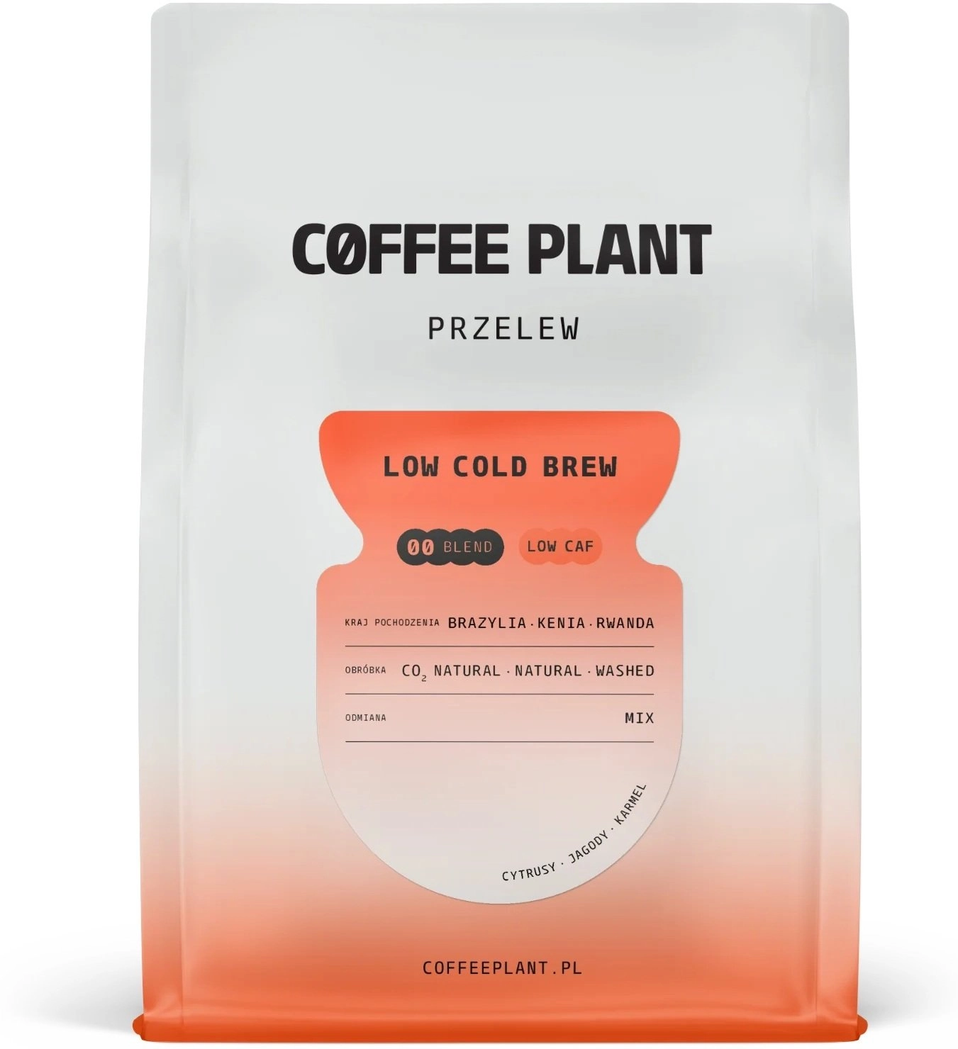 Coffee Plant COFFEE PLANT - low