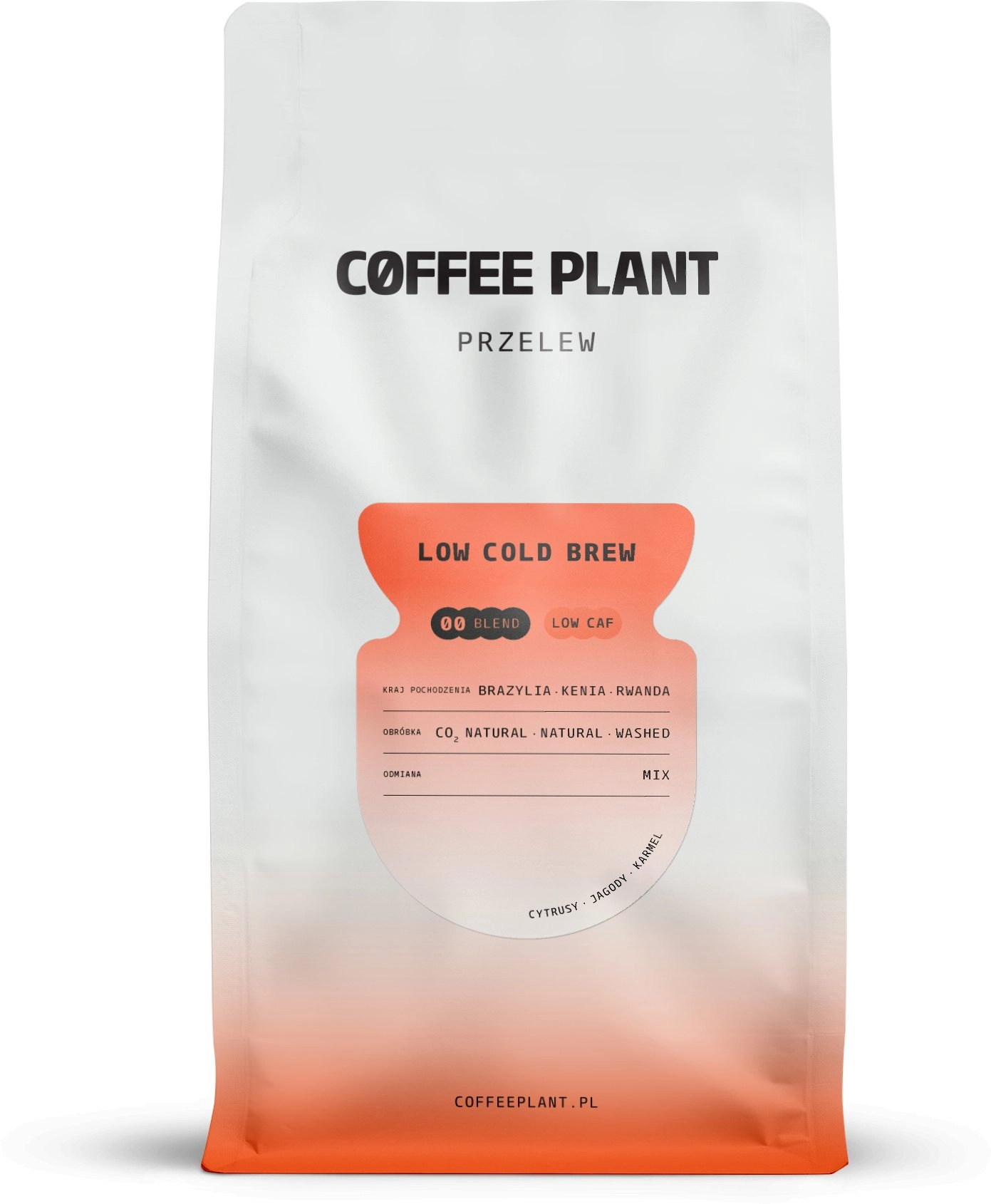 Coffee Plant COFFEE PLANT - low
