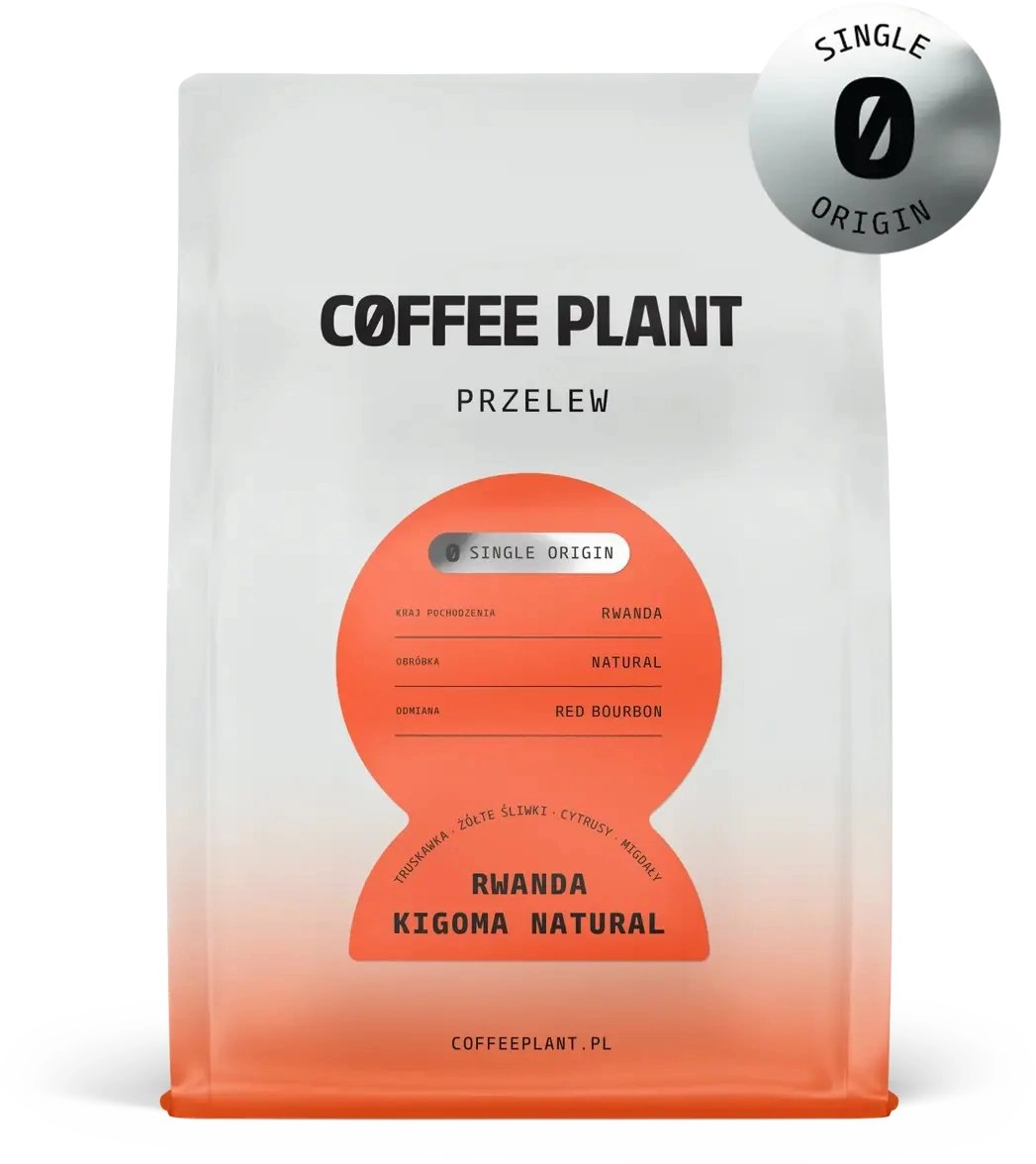 Coffee Plant COFFEE PLANT - Rwanda