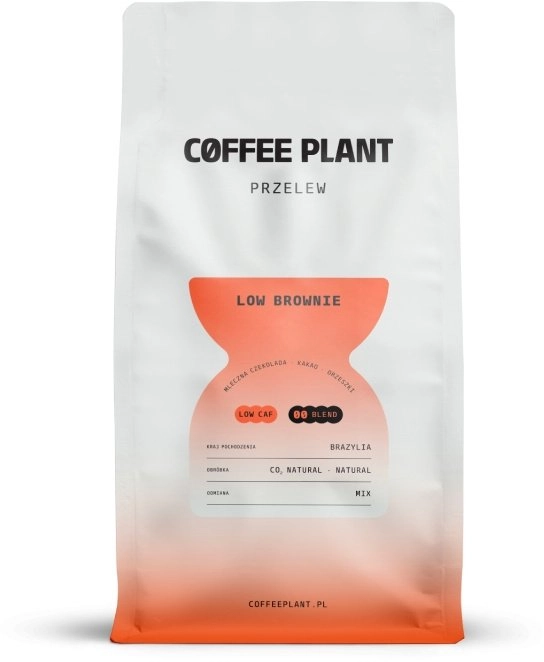Coffee Plant Coffee Beans COFFEE PLANT