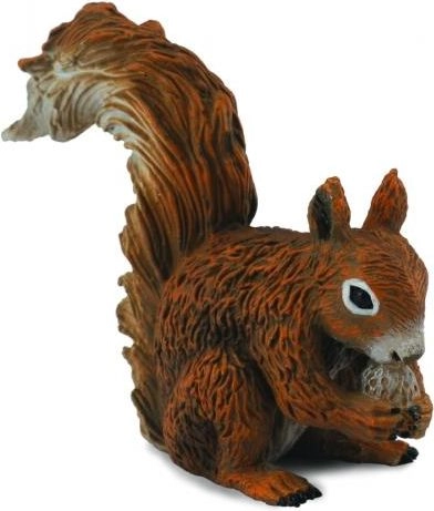RED SQUIRREL EATING (S) ( 004-88467