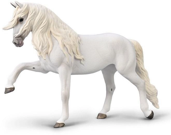 Lipizzaner mare with Spanish gait 4892900800356
