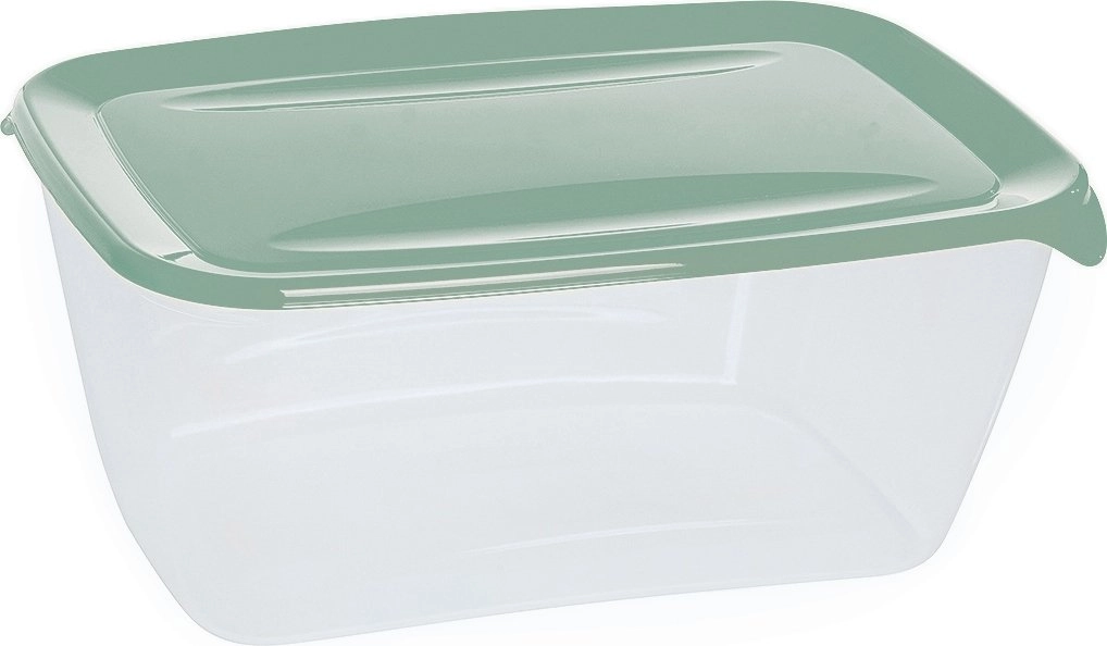 Food container rectangle 5L FreshGo green