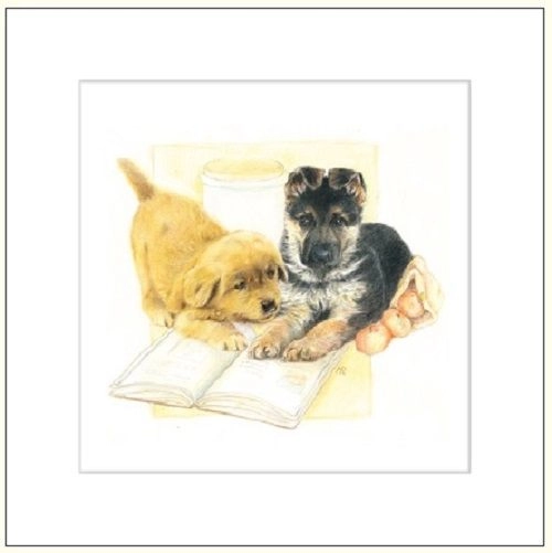 Card 16x16 G04 41G 057 +