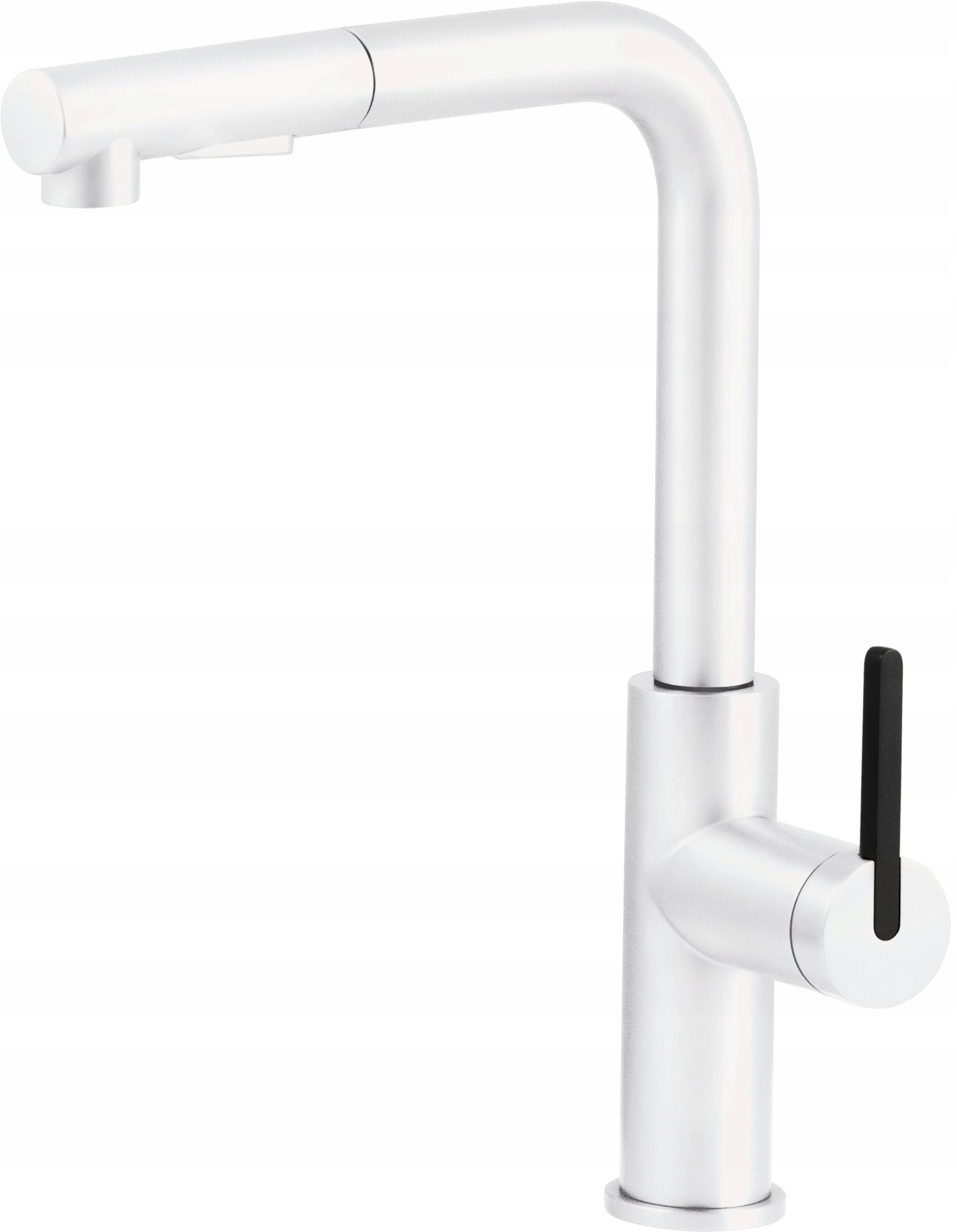 Kitchen faucet with pull-out spout BKM