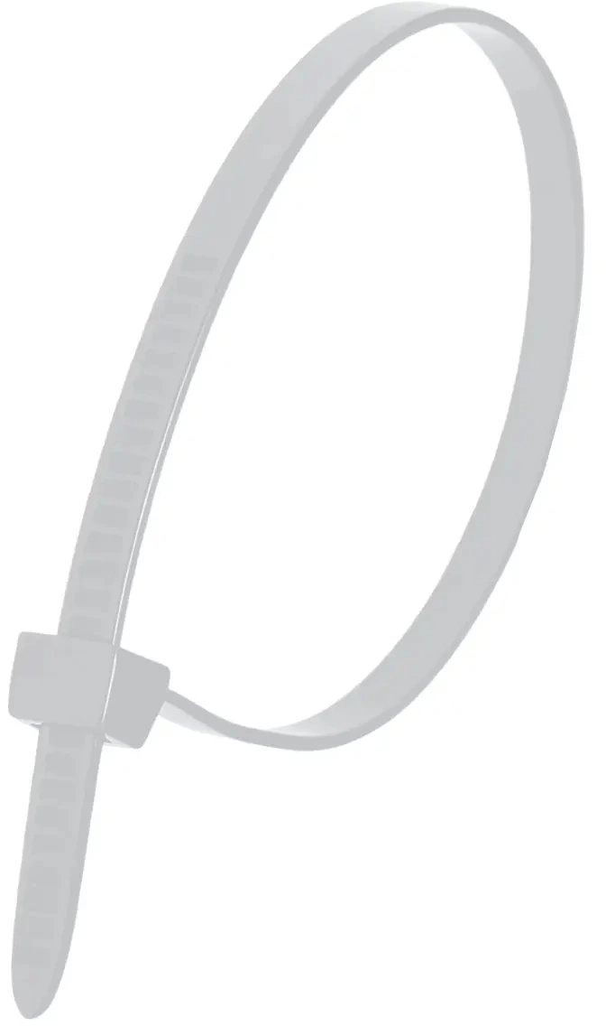 Dedra Nylon cable ties white 3
