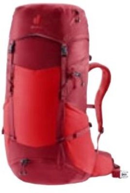 Plecak Deuter Futura Pro 36 -