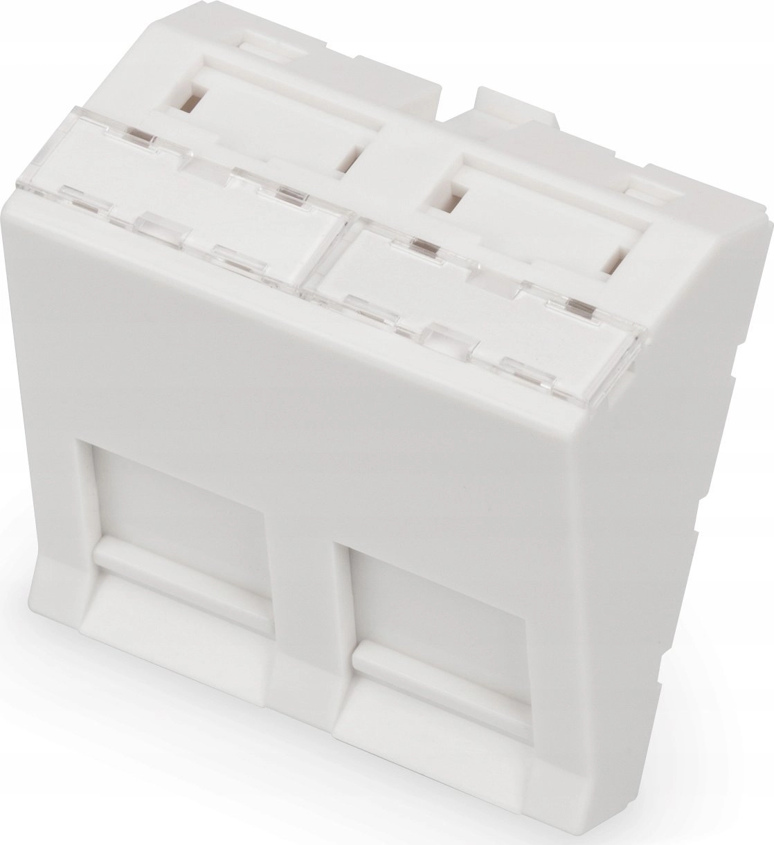 Digitus ZUB Digitus Front Panel 2-port