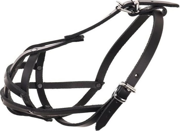 Dino Dog Muzzle Leather Riveted 5